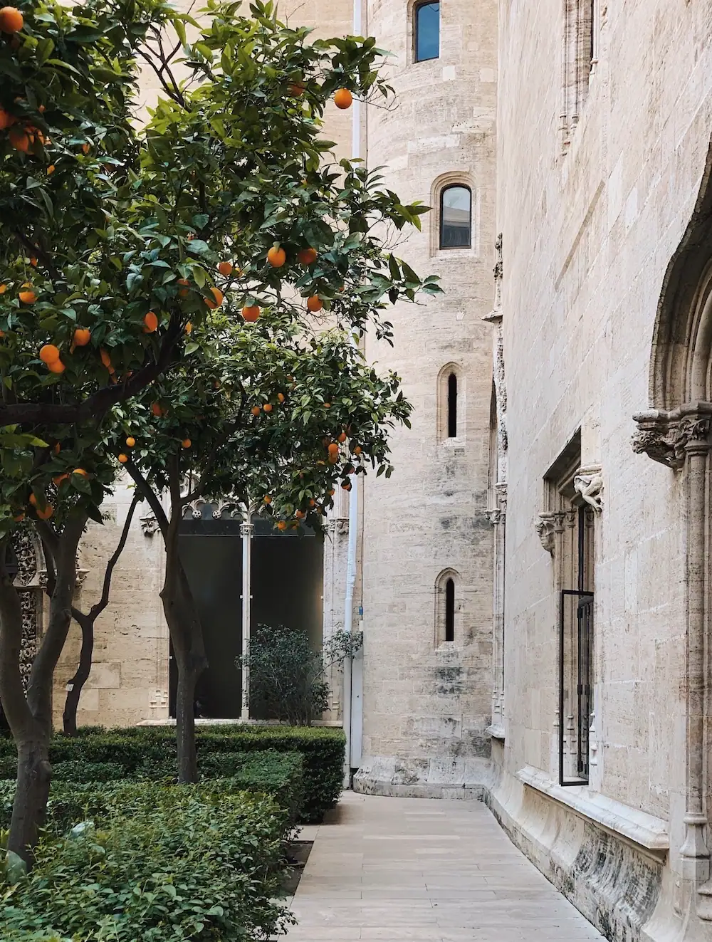 Orange trees beside the Gothic stone walls of La Lonja de la Seda in Valencia